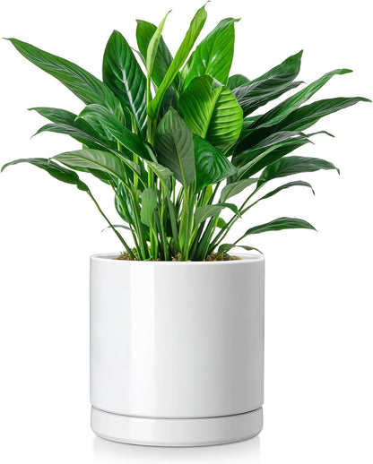 vancasso Ceramic Plant Pots, 8.25 Inch Ceramic Pot for Plants, Planters Pots for Indoor Plants with