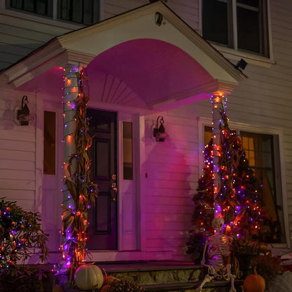 Dazzle Bright 164 FT 500 LED Halloween String Lights, Waterproof Halloween String Lights Black Wire