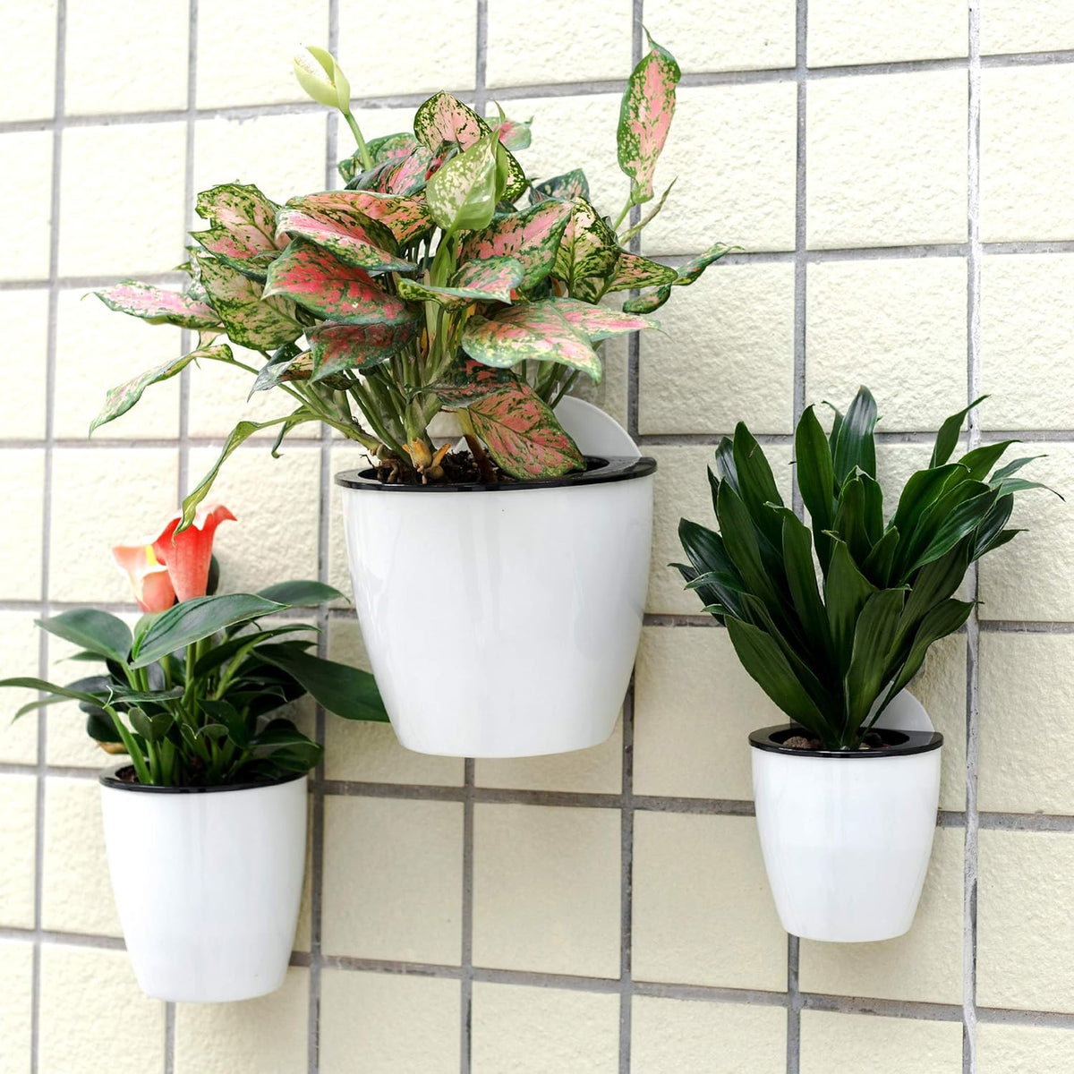 3 Pack Self Watering Wall Hanging Planter Pots Vertical Garden Window Hang Mount Indoor Outdoor
