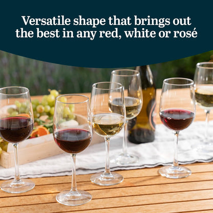Libbey Vina Tall Wine Glasses Set, All Purpose Red and White Wine Glasses Set of 12, Professional
