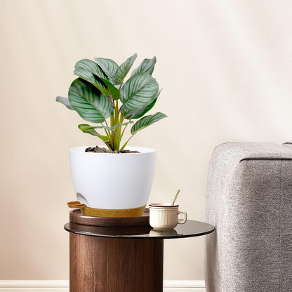 12/10/9 inch Large Self Watering Pots, Plant Pots with Mesh Drainage Holes for Indoor Outdoor