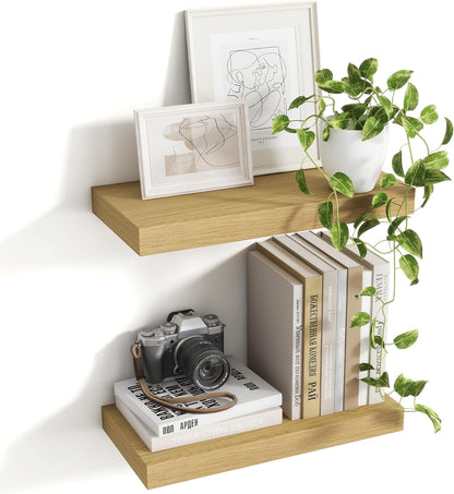 16 Inch Floating Shelves, 8 Inch Deep Floating Shelves for Wall, Hanging Shelf with Invisible