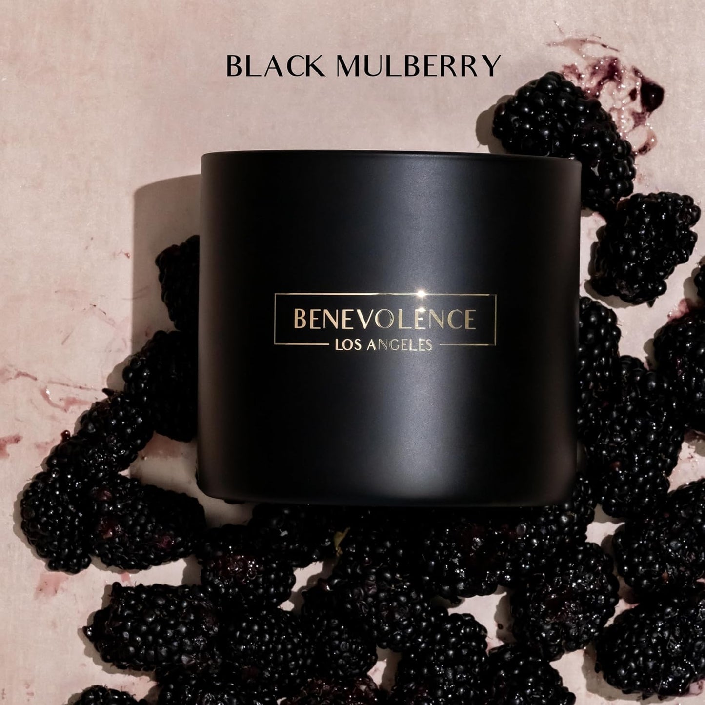 Benevolence LA 3 Wick Candle, Black Berries (Baies) Large Scented Candle | Soy Candles | Gifts for