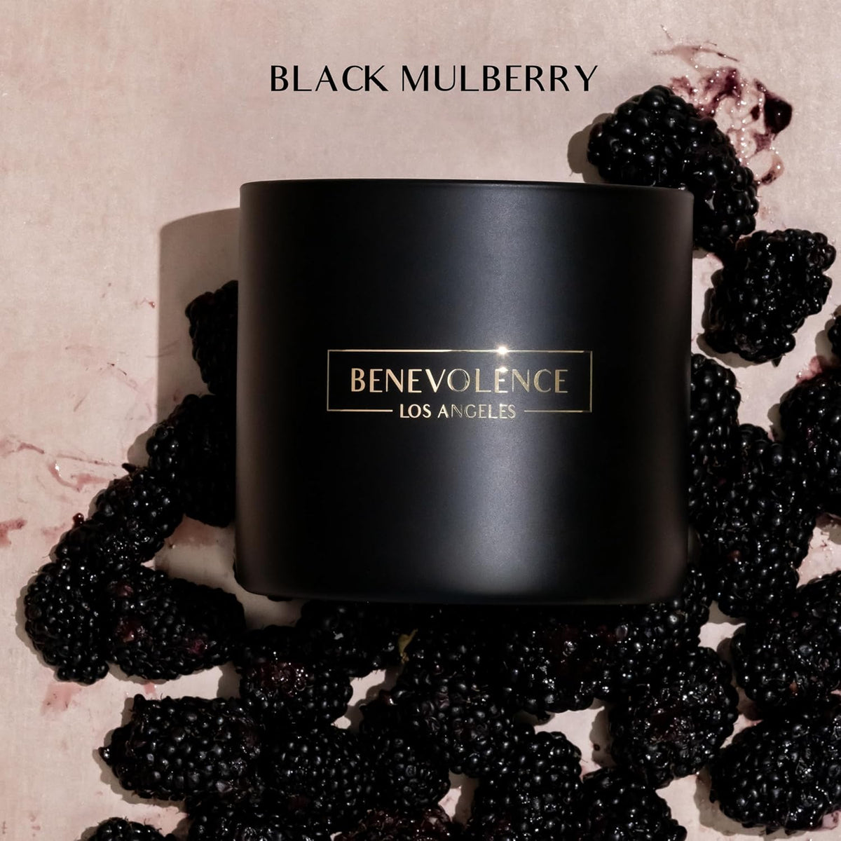 Benevolence LA 3 Wick Candle, Black Berries (Baies) Large Scented Candle | Soy Candles | Gifts for