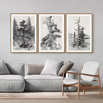 SIGNINART Vintage Tree Framed Wall Art Set , Black and White Antique Sketchbook Forest Painting