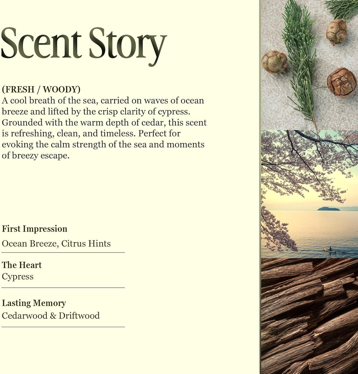 Scented Luxury Candles in Handmade Ceramic Jars, Soy Wax | Day On The Sea – Cypress & Cedar, Large