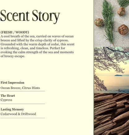 Scented Luxury Candles in Handmade Ceramic Jars, Soy Wax | Day On The Sea – Cypress & Cedar, Large