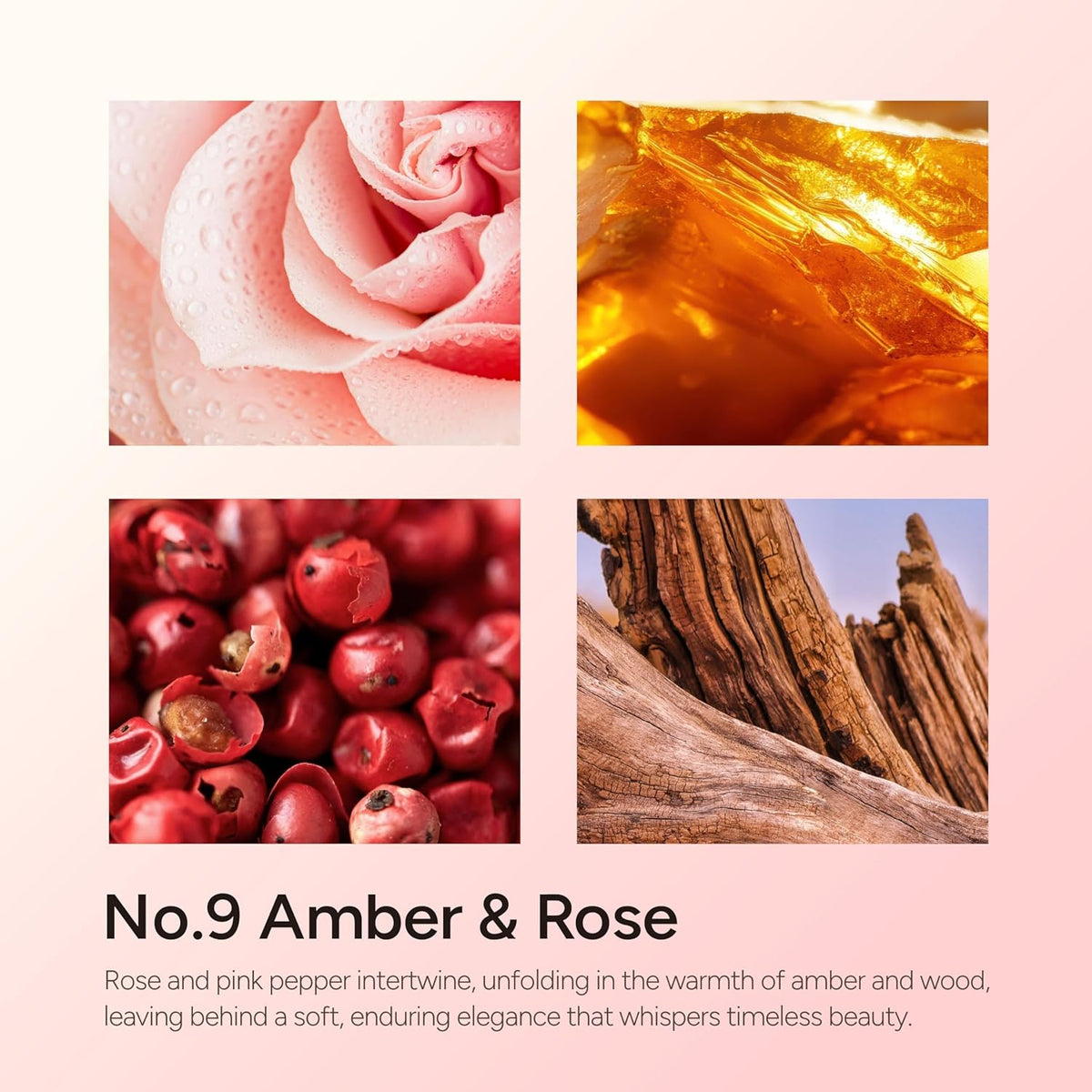 Amber & Rose Luxury Scented Candles, 9oz Soy Wax Candles for Home Scented, Rose, Wood, Amber Scent