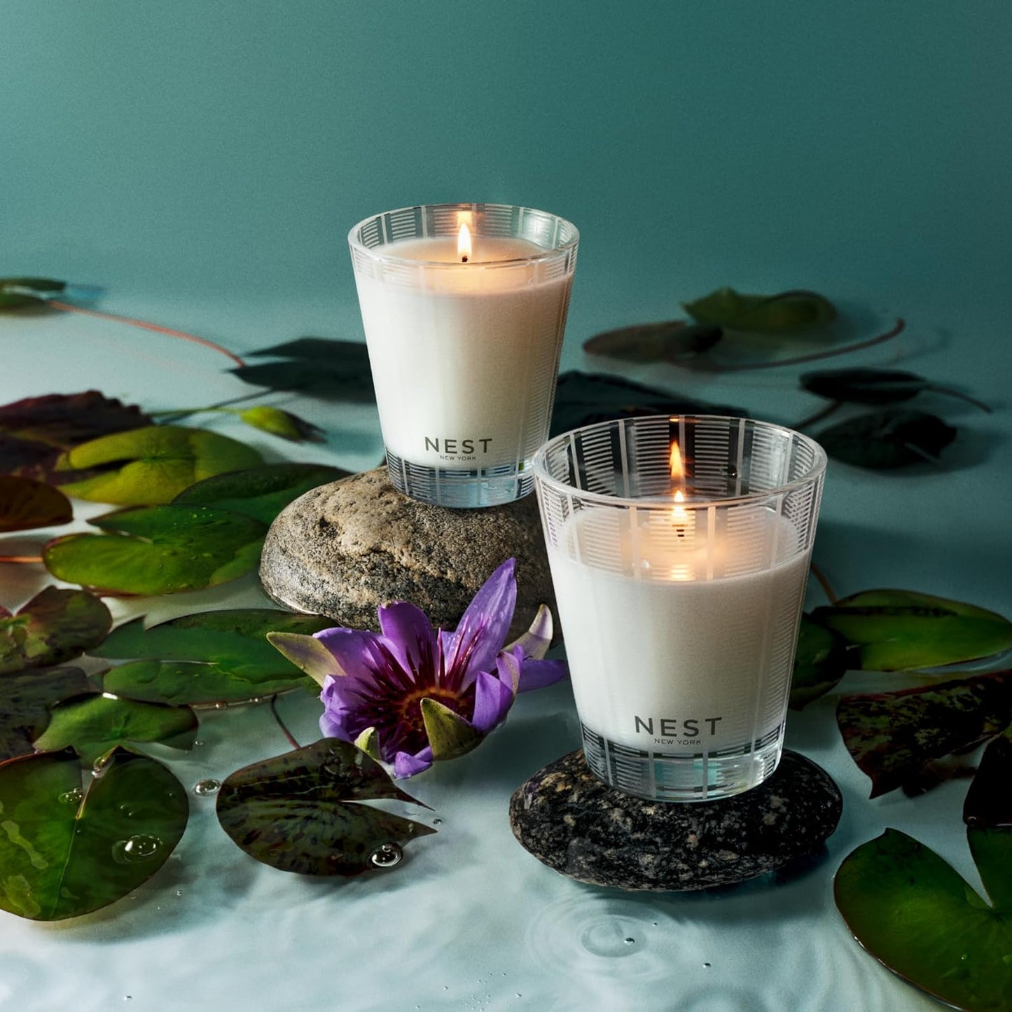 NEST New York Scented Classic Candle, Forest Rain - 8.1 oz - Up to 60-Hour Burn Time - Reusable