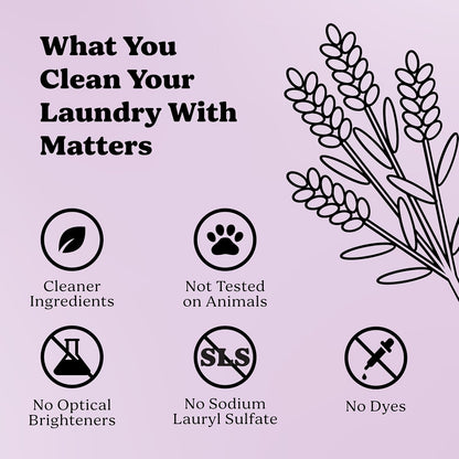 Pronounce Laundry Detergent Powder Alternative | Earth-Derived Ingredients, Eco-Friendly, Safer for