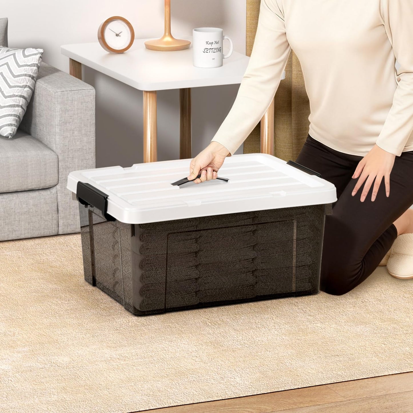 Cetomo Lidded Storage Bin with Handle, Tote Organizing Container with Durable Lid and Secure