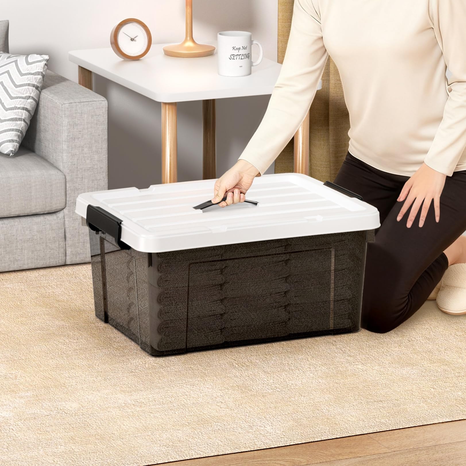 Cetomo Lidded Storage Bin with Handle, Tote Organizing Container with Durable Lid and Secure