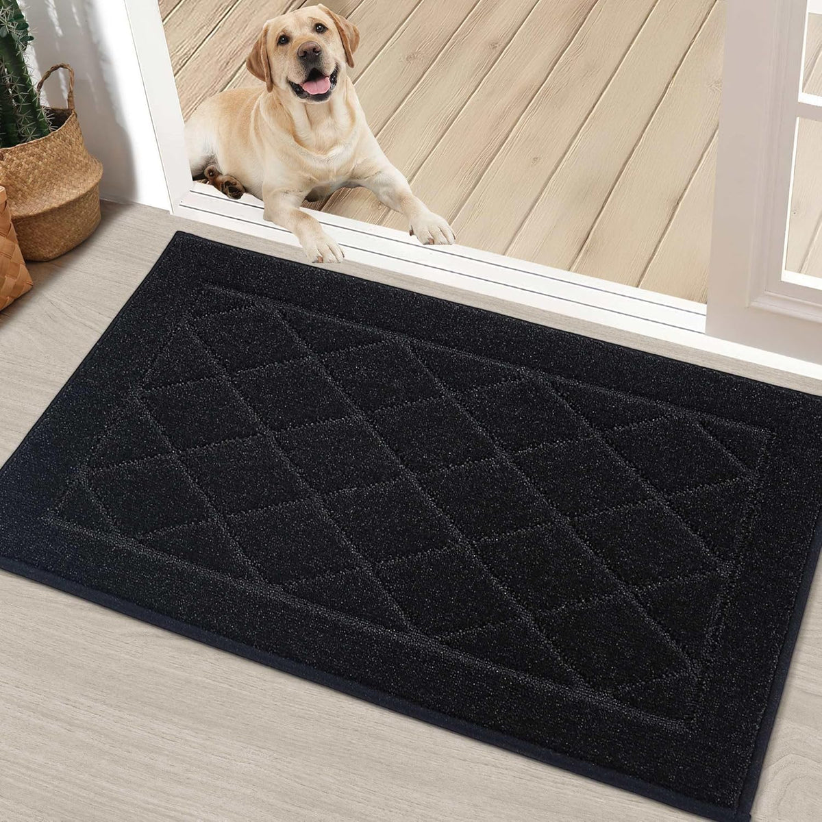 BEQHAUSE Dirt Trapper Door Mat 20" x 32", Doormat Non-Slip Entryway Rugs Washable, Dog Door Mat