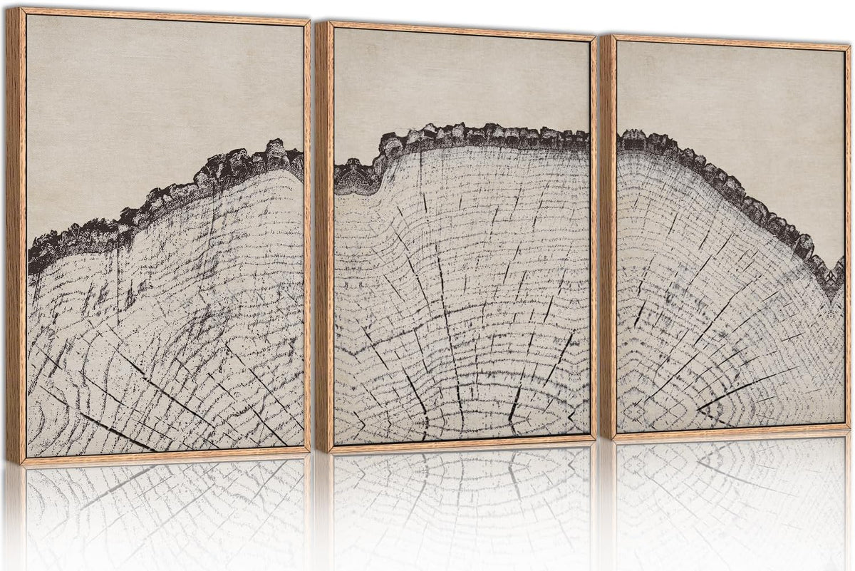 HPINUB Vintage Wood Tree Rings Wall Art Set, Framed Canvas Paintings, Black and White