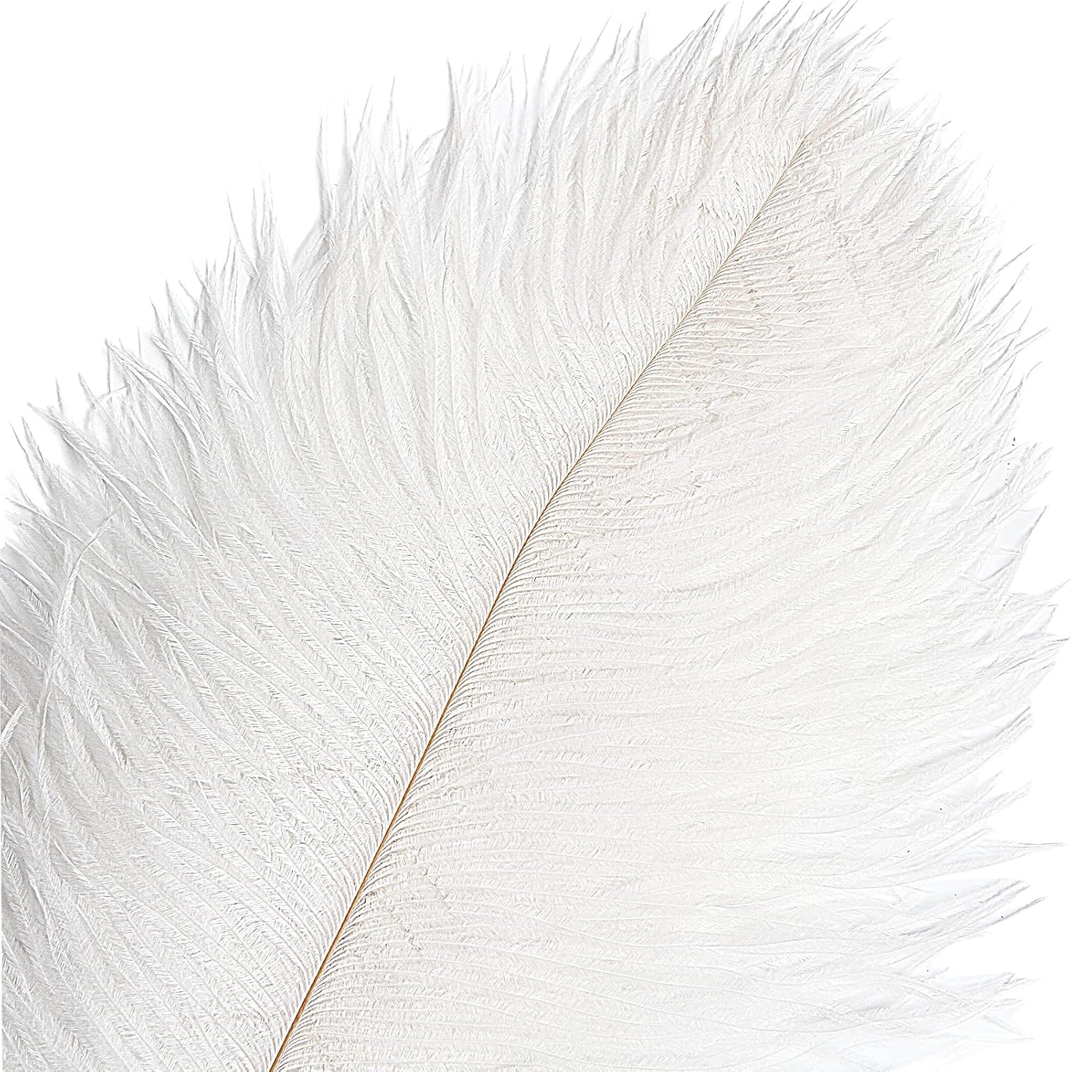 THARAHT 12pcs White Ostrich Feathers Natural Bulk 16-18Inch 40cm-45cm for Wedding Party