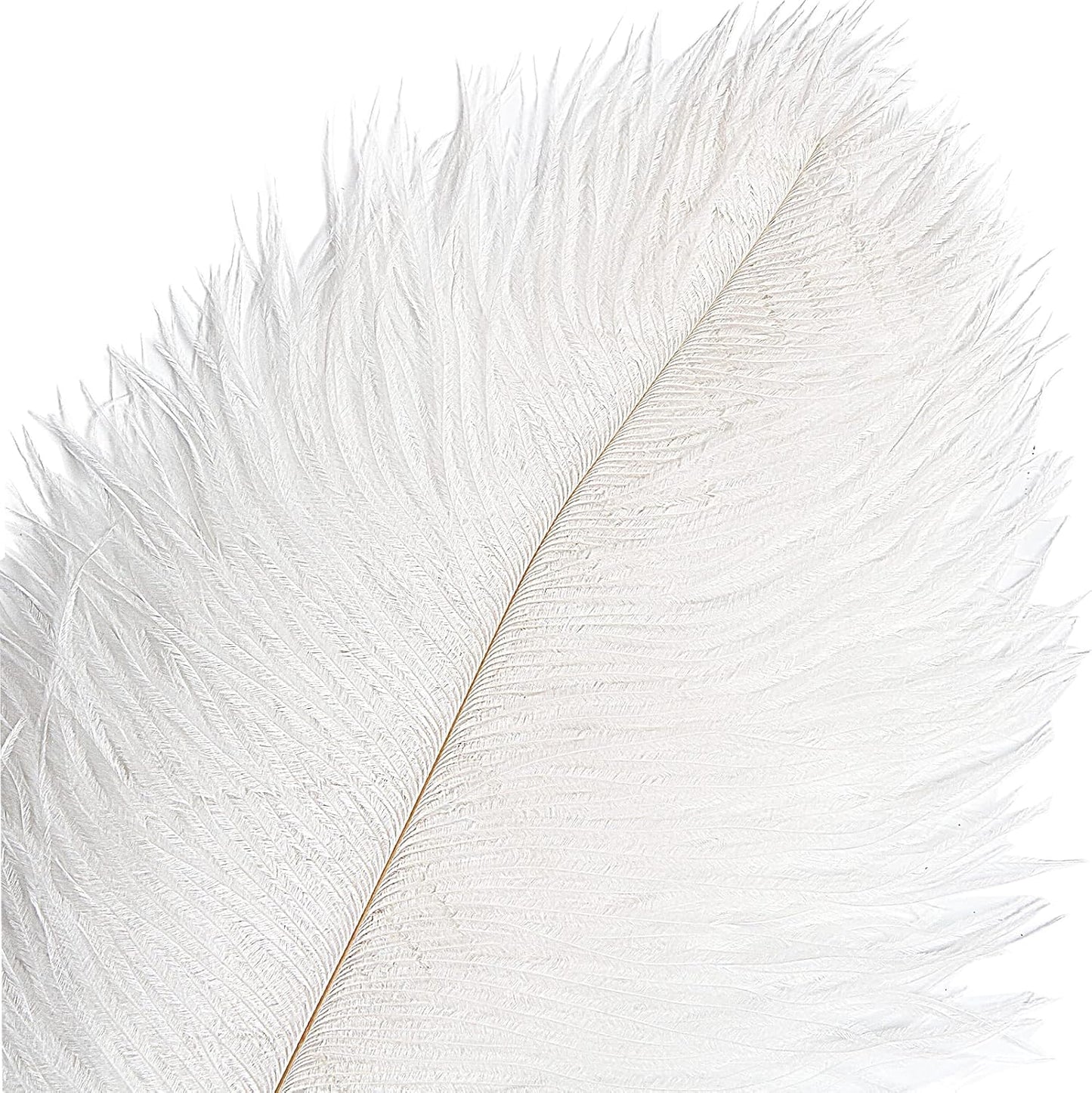 THARAHT 12pcs White Ostrich Feathers Natural Bulk 14-16Inch 35cm-40cm for Wedding Party