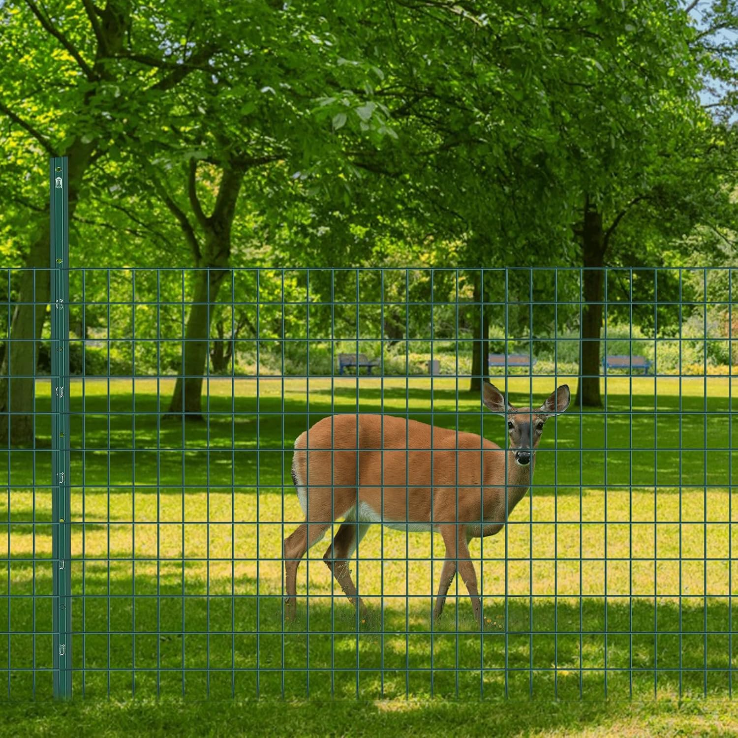 Welded Wire Fence, 50ft(L) x 36inch(H) PVC Coated Wire Fencing for Dog, 2 Inch x 3 Inch 16GA