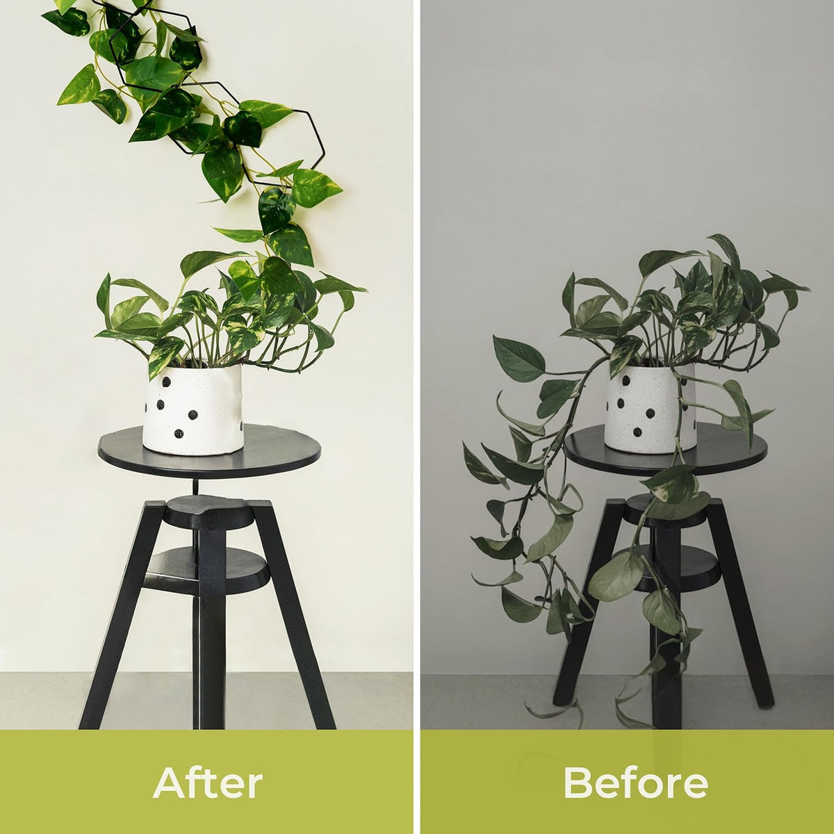 Chain Trellis for Climbing Plants - Indoor & Outdoor House Plant Accessories for Monstera, Pothos