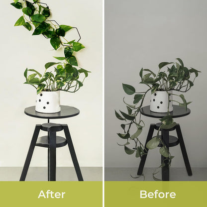 Chain Trellis for Climbing Plants - Indoor & Outdoor House Plant Accessories for Monstera, Pothos