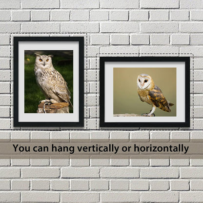 VCK 18x24 Poster Frames 3 Pack Black MDF Wood and Polished Plexiglass Frame,Display Pictures in