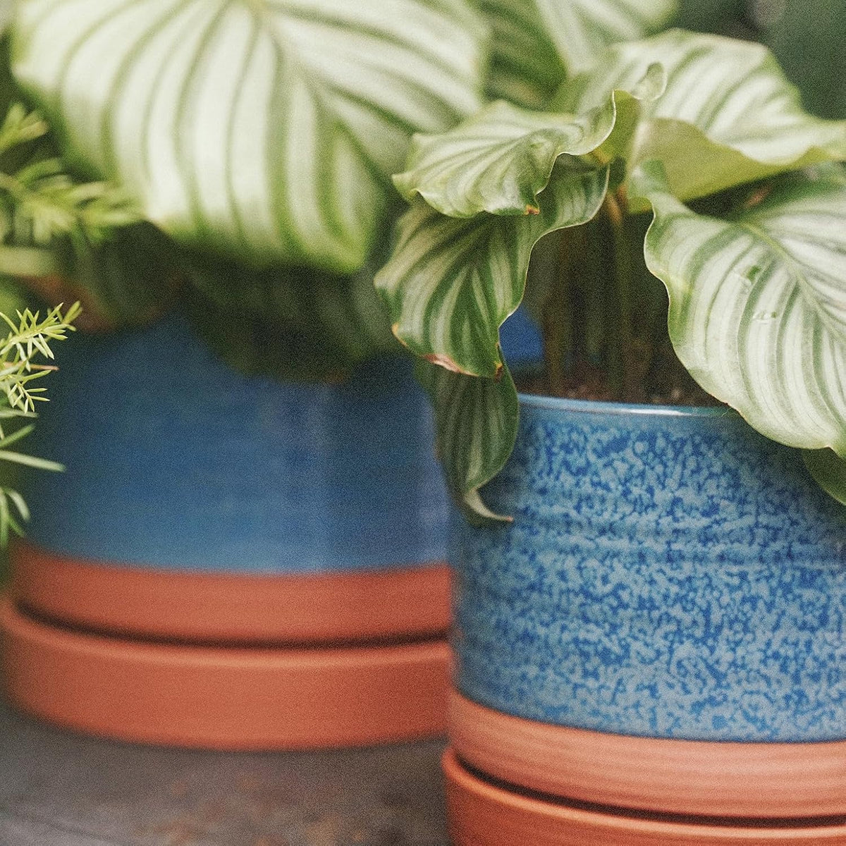 8 Inch Pots for Plants, Ceramic Planter Pot with Drainage Hole & Saucer, Indoor/Outdoor Cylinder