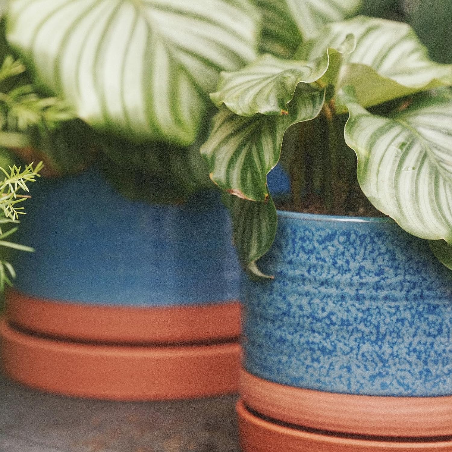 8 Inch Pots for Plants, Ceramic Planter Pot with Drainage Hole & Saucer, Indoor/Outdoor Cylinder