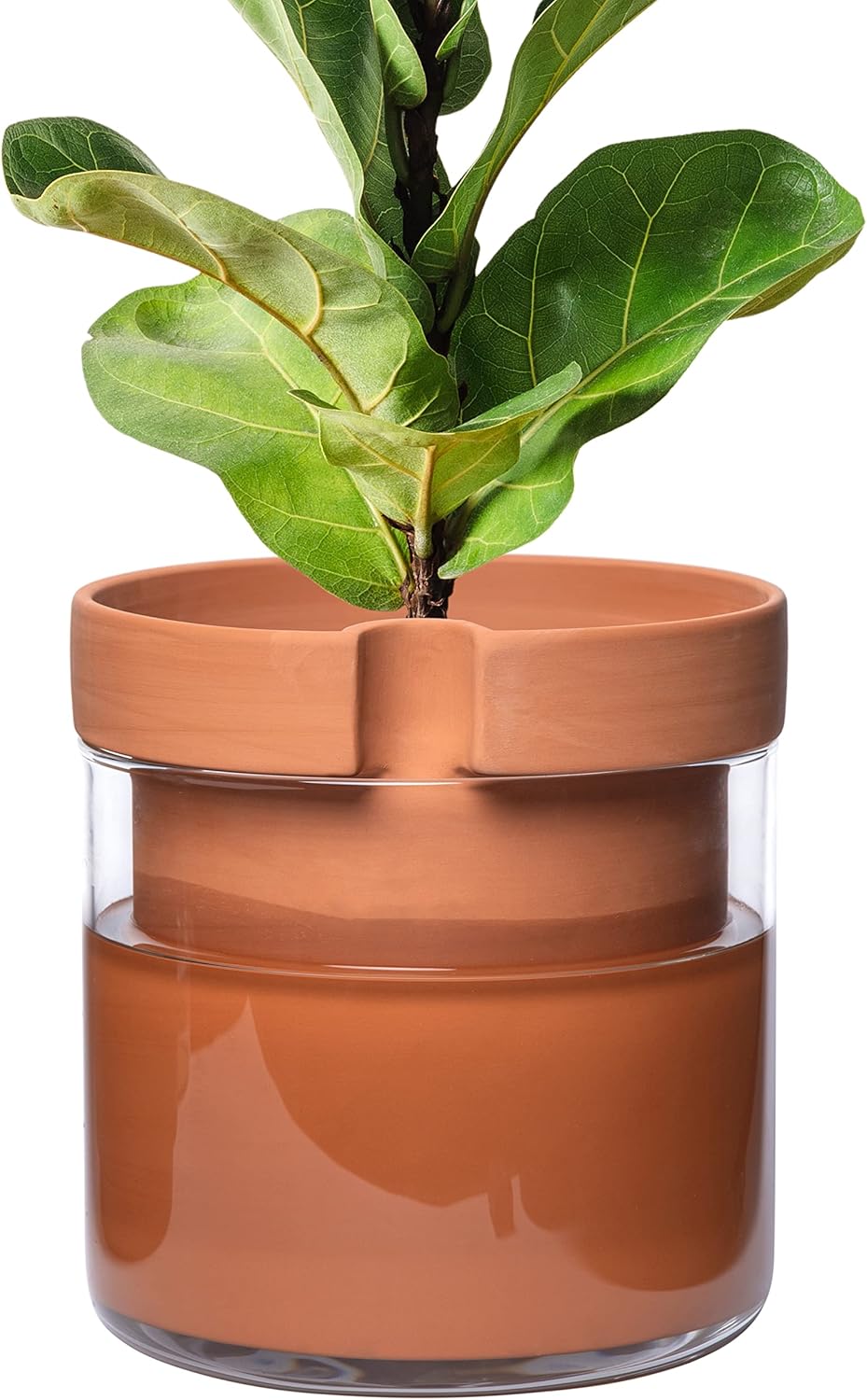 Phoenix Vine 10 Inch Self Watering Planter Pot, Terracotta Clay Pot with Glass Reservoir for Indoor