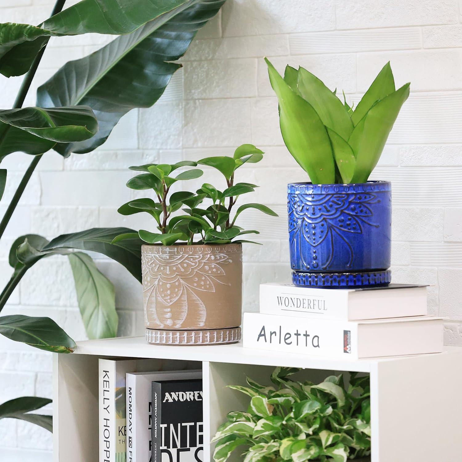 6 Inch Indoor Plant Pots with Drainage Holes and Saucers, Ceramic Planter for Plants, Flower Pot