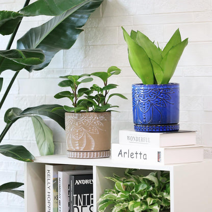 6 Inch Indoor Plant Pots with Drainage Holes and Saucers, Ceramic Planter for Plants, Flower Pot