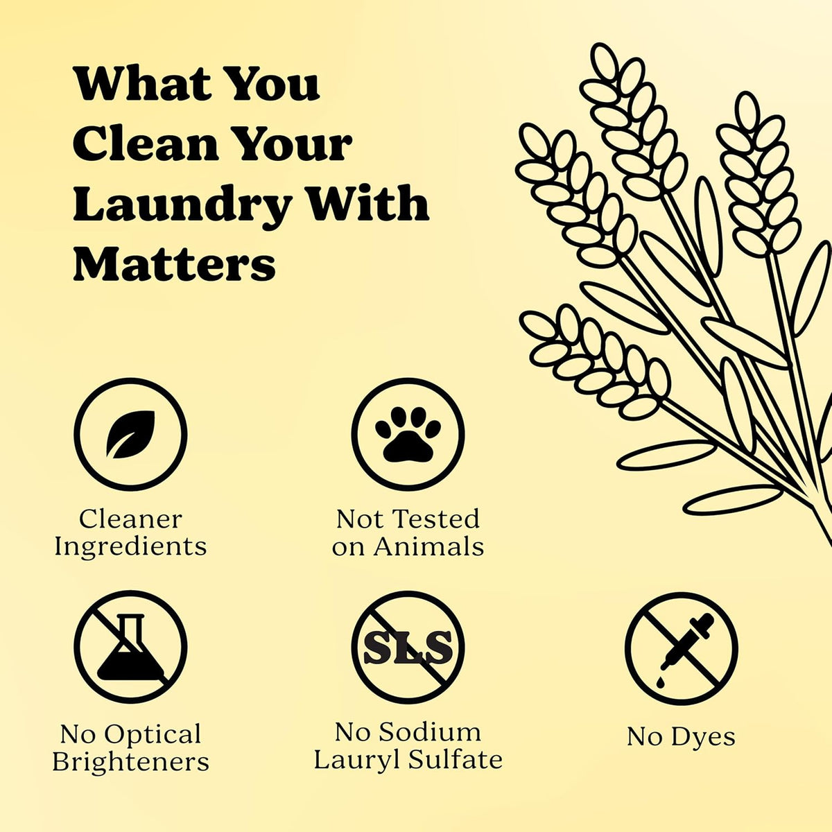 Pronounce Laundry Detergent Powder Alternative | Earth-Derived Ingredients, Eco-Friendly, Safer for