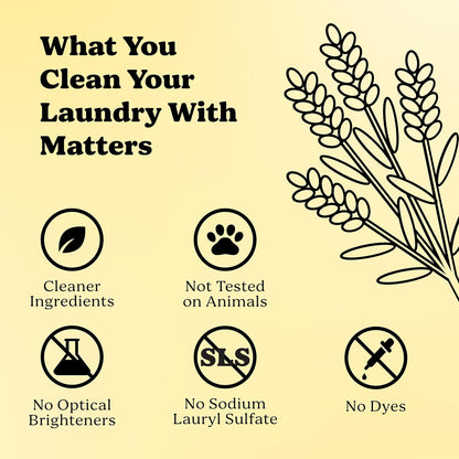 Pronounce Laundry Detergent Powder Alternative | Earth-Derived Ingredients, Eco-Friendly, Safer for