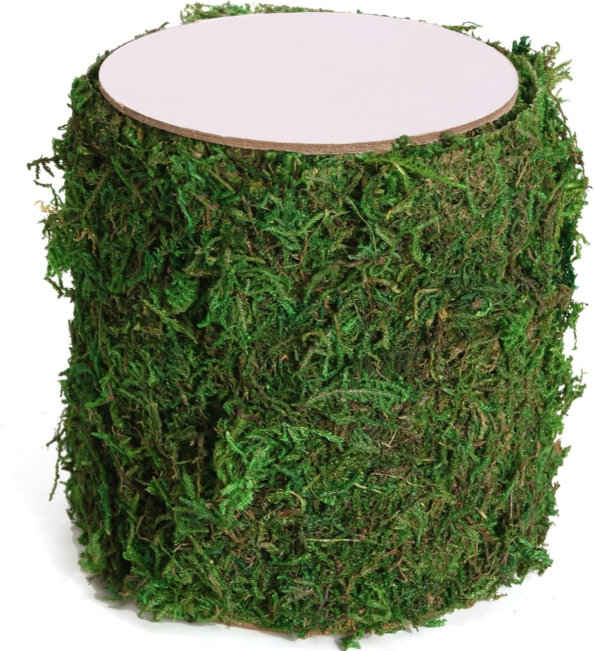 Moss Roll, Dried Moss for Crafts, Moss Table Runner for Fairy Gardens, Wedding Woodland Decor