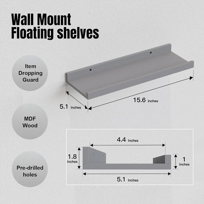 RICHER HOUSE Mounted Shelves for Wall Decor, Modern Picture Ledge Shelf with Lip for Wall Storage
