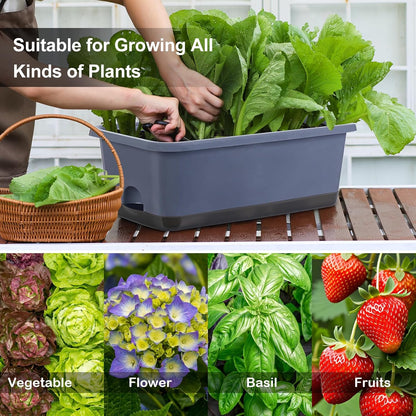 Window Box Planter 8 Pcs, 17 Inches Rectangle Flower Pots with Drainage Holes and Trays, Vegetable