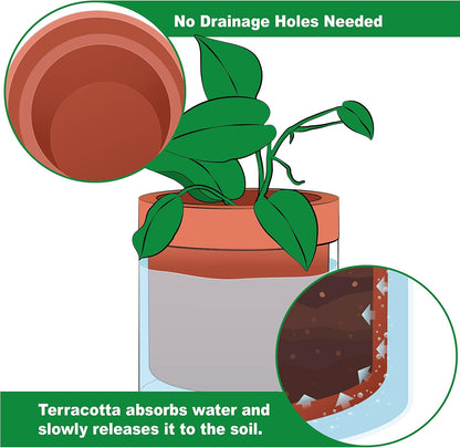 Phoenix Vine 6 Inch Self Watering Planter Pot, Terracotta Clay Pot with Glass Reservoir for Indoor