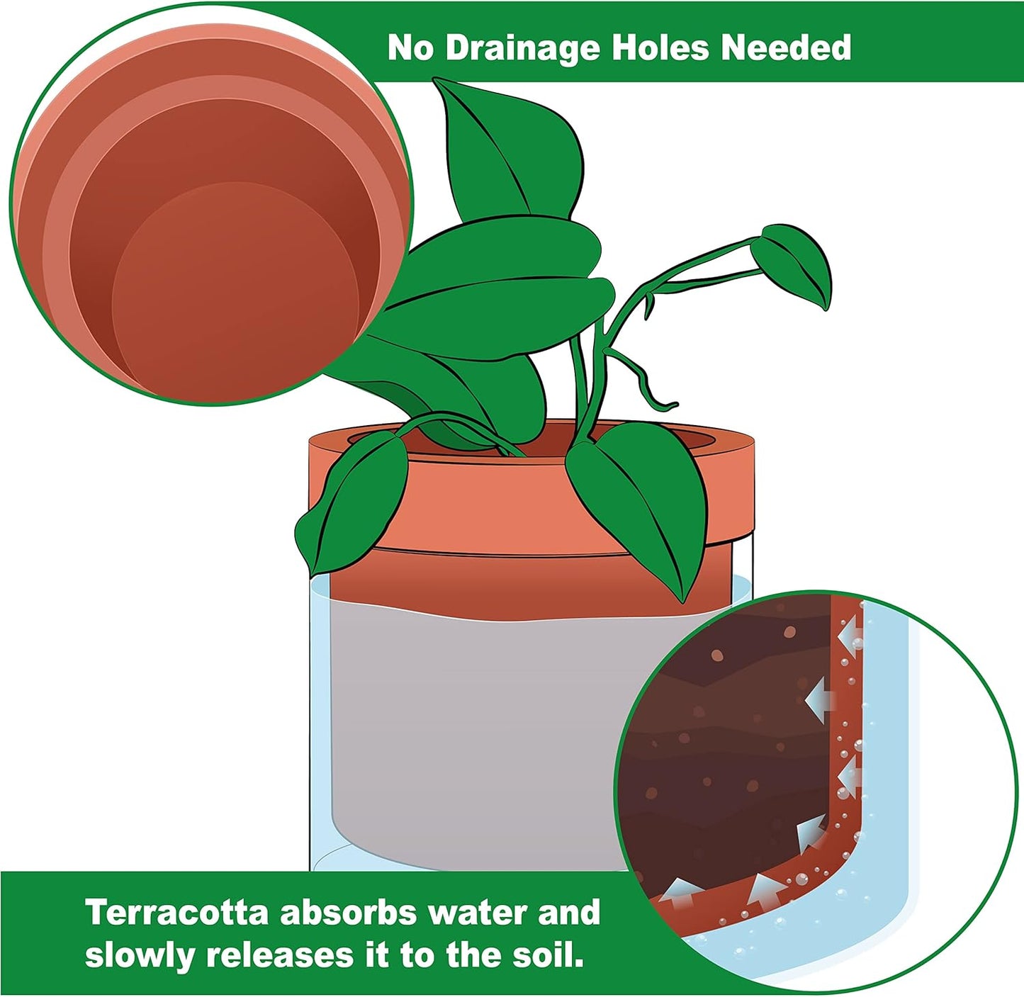 Phoenix Vine 6 Inch Self Watering Planter Pot, Terracotta Clay Pot with Glass Reservoir for Indoor
