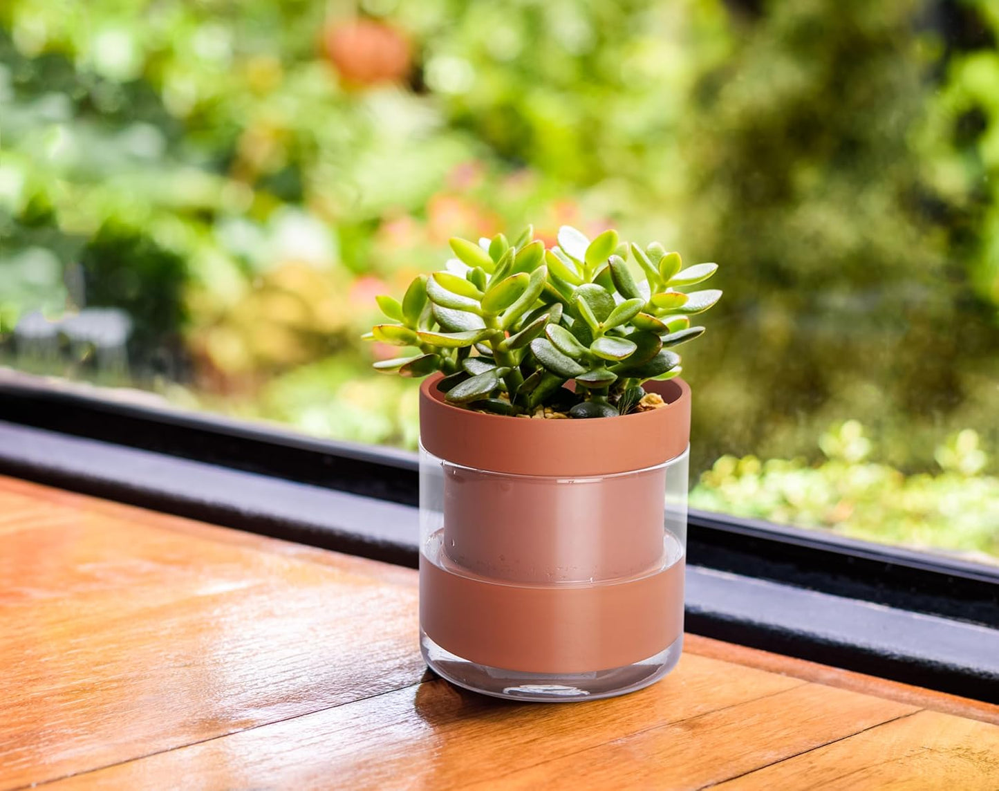 Phoenix Vine 4 Inch Self Watering Planter Pot, Terracotta Clay Pot with Glass Reservoir for Indoor