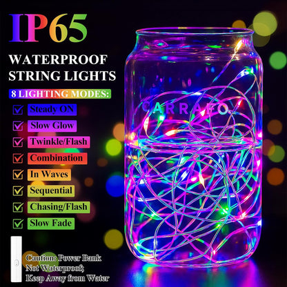 Lakumu Battery Operated String Lights, Twinkle Lights with Timer, Mini LED Fairy Lights for