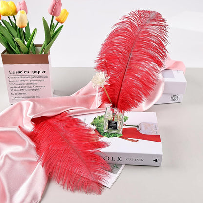 THARAHT Red Ostrich Feathers 12pcs Natural Bulk 8-10Inch 20cm-25cm for Crafts Wedding Party