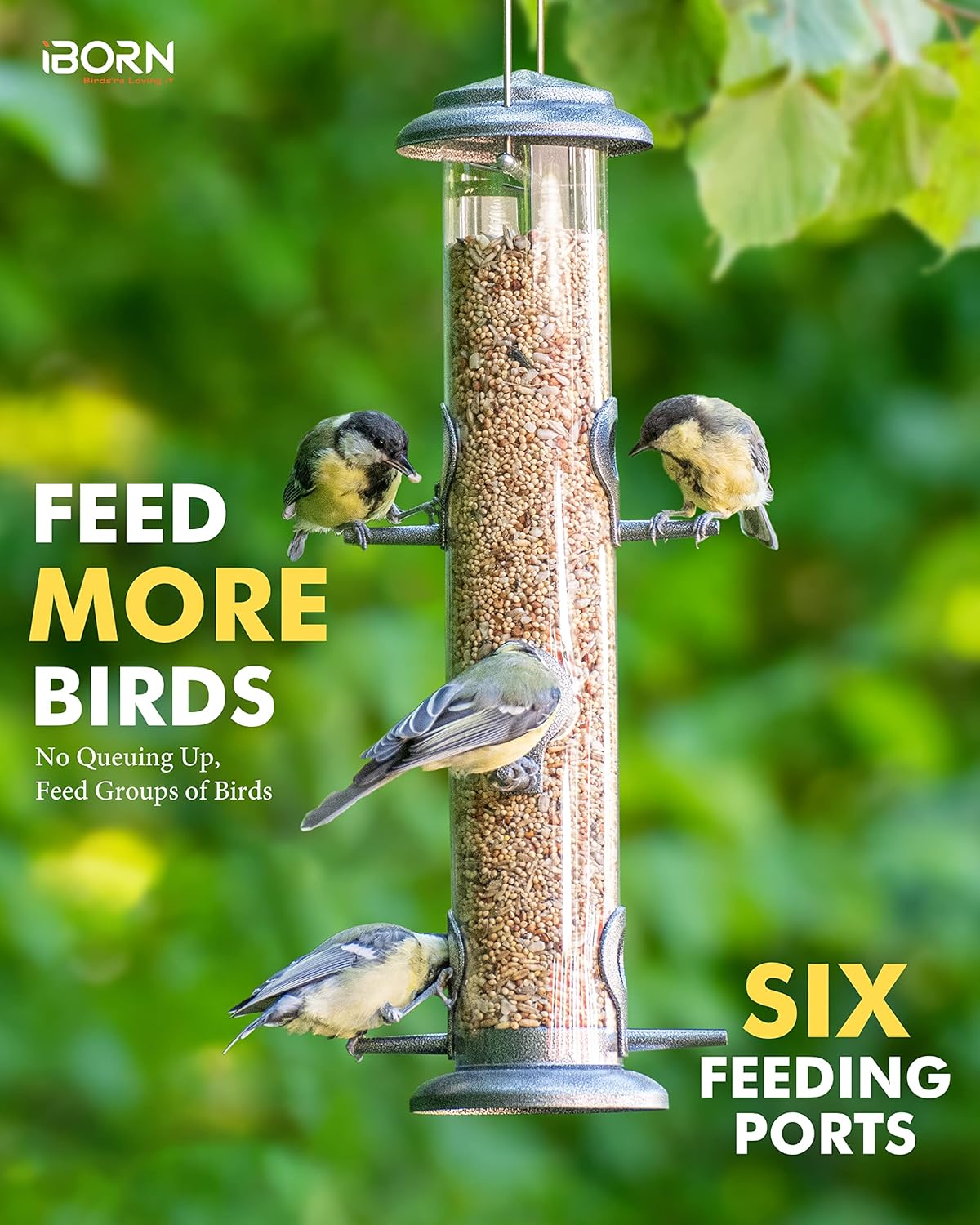 iBorn Metal Bird Feeder Hanging Wild Bird Seed Feeder for Mix Seed Blends Heavy Duty All Metal