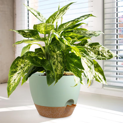 10/9/8 inch Self Watering Pots, Planter, Plant Pots with Mesh Drainage Holes for Indoor Outdoor