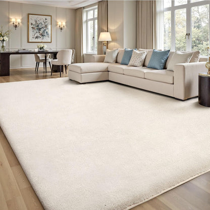 Sour Lemon 8x10 Area Rugs for Living Room, Soft Large Area Rug Fluffy Rugs for Bedroom，Machine