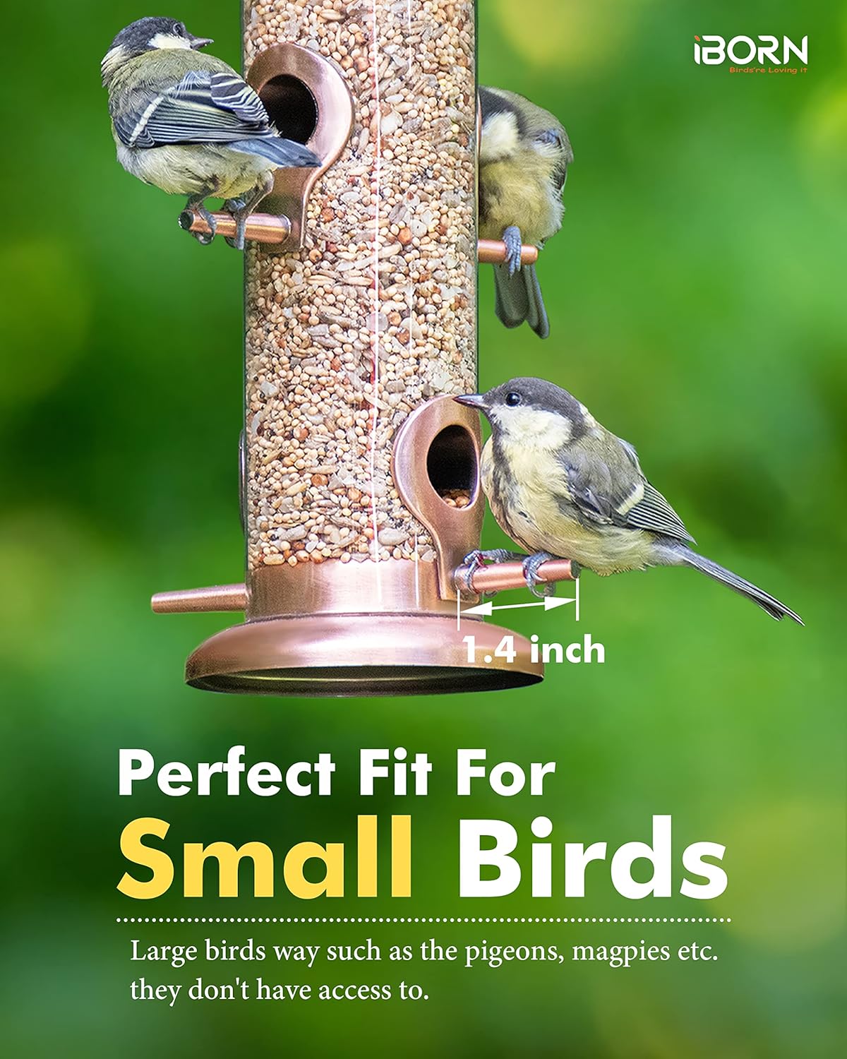 iBorn Metal Bird Feeders Metal Bird Feeder Copper for Outdoors Hanging All Metal Copper Finishing