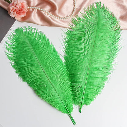 THARAHT Green Ostrich Feathers 12pcs Large Natural Bulk 12-14Inch 30cm-35cm for Wedding Party