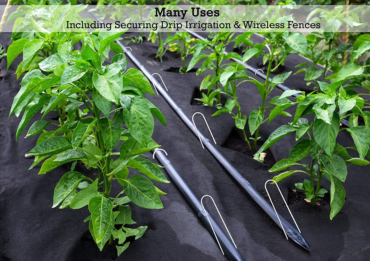 Sandbaggy Galvanized 6-Inch Landscape Staples ~ 9 Gauge Steel - Fabric Pins, Garden Earth Stakes