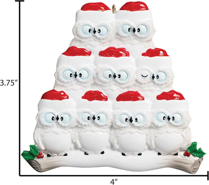 3D Owl Family of 9 Christmas Ornament 2025 Personalized Family Christmas Ornaments 2025 | White
