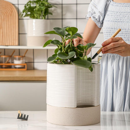 Nihow Self Watering Plant Pot: 8 Inch Ceramic Planter with Drainage Hole & Water Storage Plus for