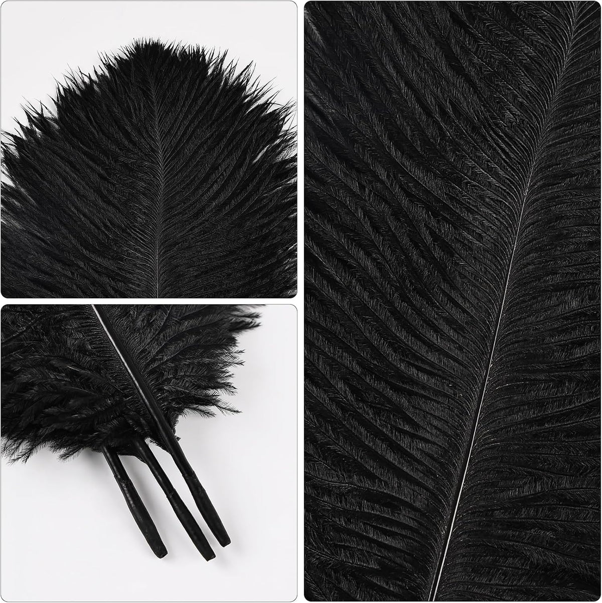 THARAHT Black Ostrich Feathers 12pcs Natural Bulk 10-12Inch 25cm-30cm for Crafts Wedding Party