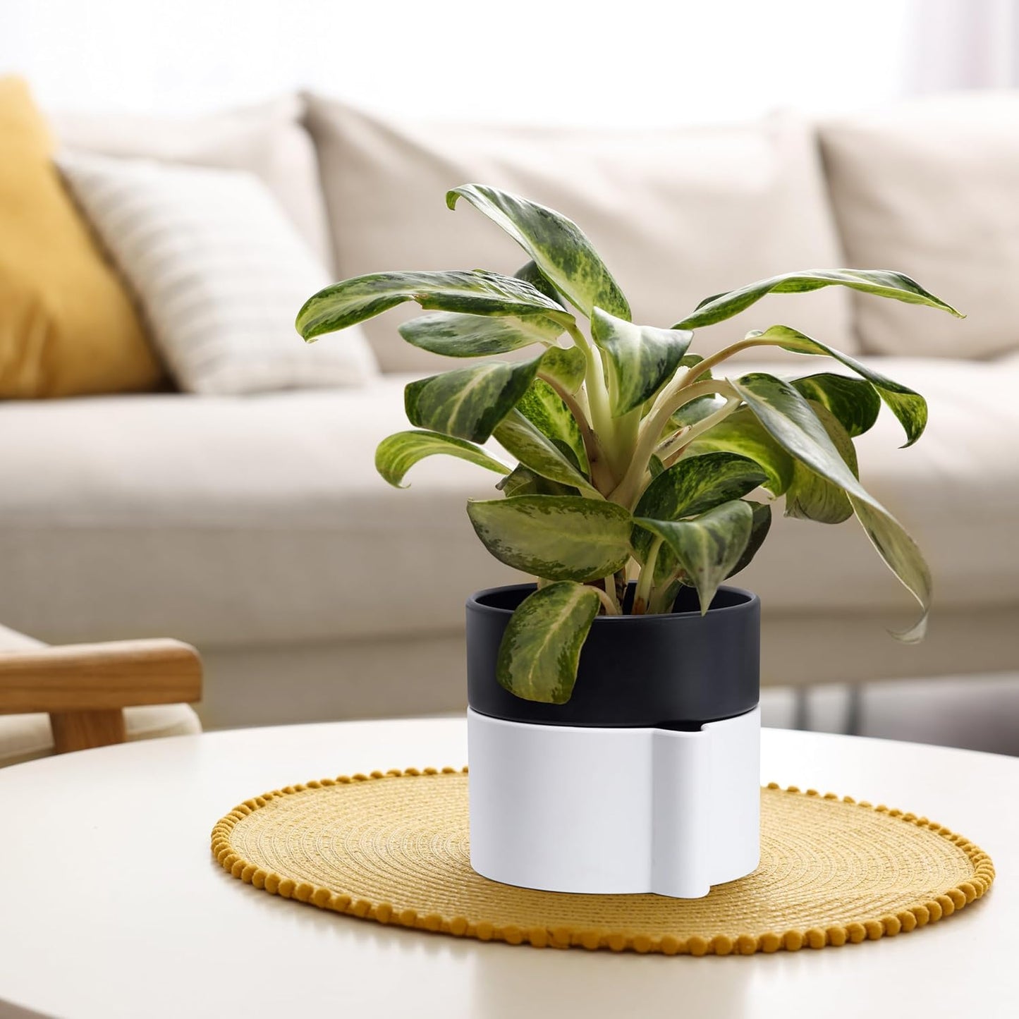 Phoenix Vine 6.5 Inch Self-Watering Planter Pot with Terracotta Insert, Deep Water Reservoir, and