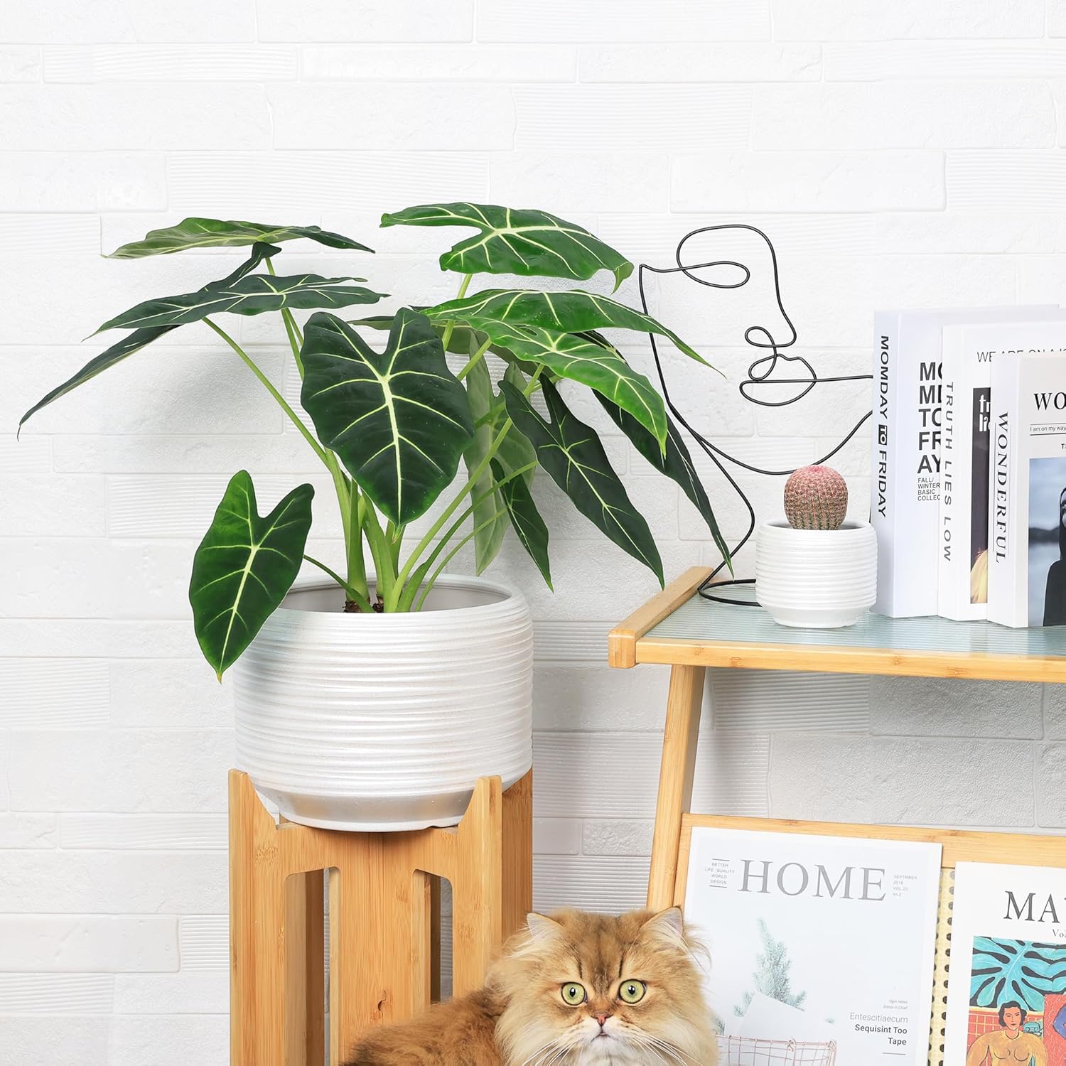 10 Inch Ceramic Plant Pot with Drainage – Large Flower Pot for Indoor Outdoor Plants, Modern